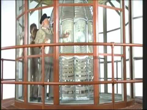 Pete's Dragon - Brazzle Dazzle Day