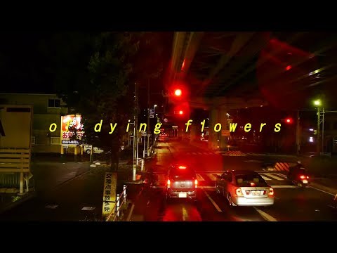 ｌｅｍｏｎａｄｅ°