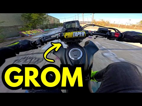 SOLLTEN SIE EINEN HONDA GROM KAUFEN