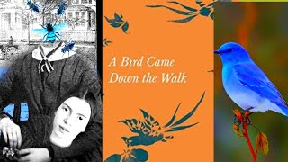 A Bird Came Down The walk by Emily Dickinson|Did Emily Live in a Graveyard?Poetic Terms in the poem 
