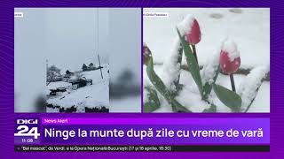 Furtuna Renata a ajuns în România. La munte ninge. Jumătate din țară e sub alertă de vijelii