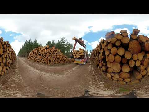 download lagu mp3 mp4 Seed Shelter, download mp3 Seed Shelter free downloadn, video klip Seed Shelter