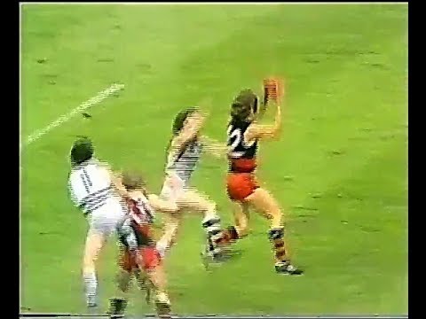 VFL Reserves Grand Final 1981   Geelong v Essendon