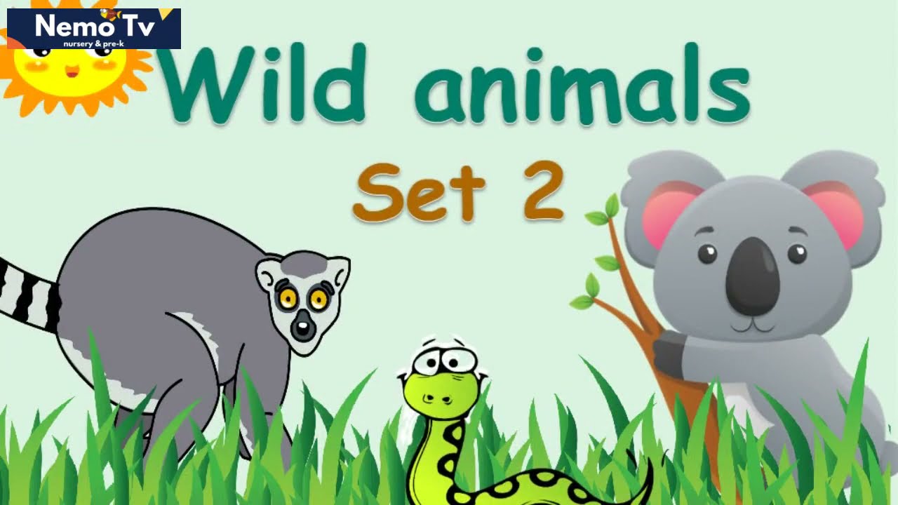 Learn Wild Animals Set 2 | Flashcards | Preschool, ESL