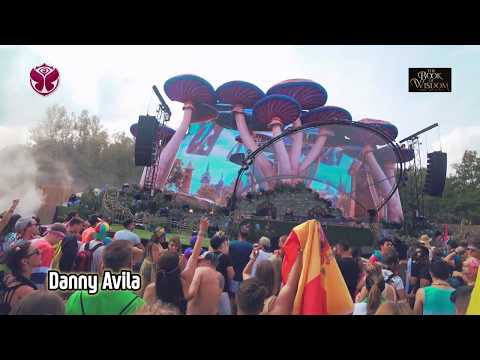 'Danny Avila' H/L | Tomorrowland Belgium 2019 - W1