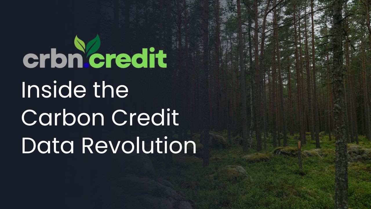 How Carbon Credit Intelligence Will Shape Net Zero Finance