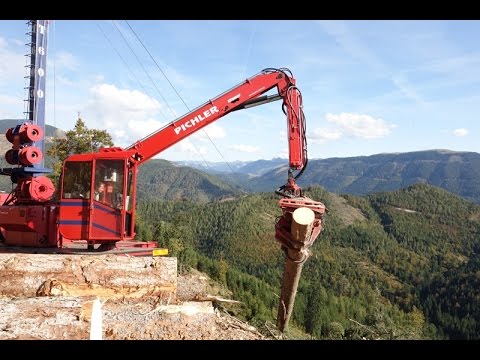 Seilkran für die Holzrückung / Gebirgsharvester / Kippmastseilgerät für die Holzbringung /TST