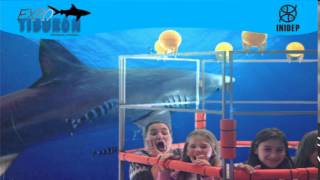 DIA 2 Expo Tiburon284