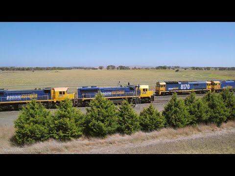 Pacific National Broad & Standard Gauge Grain Trains Cross At Gheringhap Loop (13/11/2023)- PoathTV