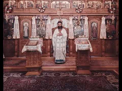 20210530 NICOLAE BALASOIU - DUMINICA A 5 A DUPA PASTI – A SAMARINENCEI