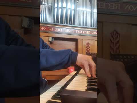 il signore e il mio pastore