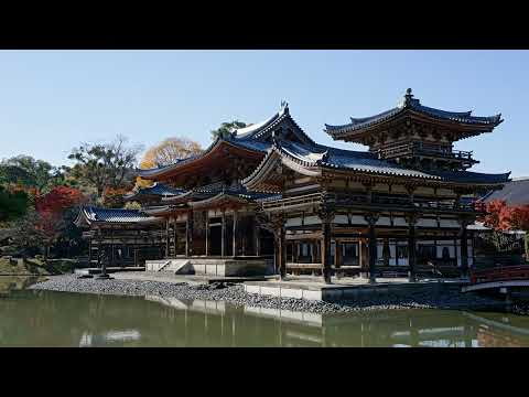 Live 28/06/2022 06:21 p. m.