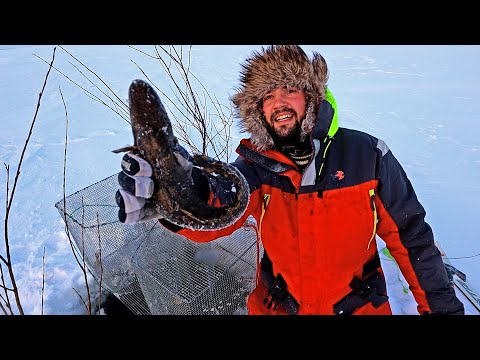 FISH WITH A SELF-MADE TRAP - FIRST BURBOT MY SELFMADE FISHING TRAP