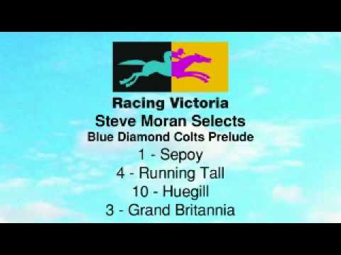 Steve Moran Selects - February 10