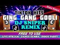 GING GANG GOOLI TIKTOK DANCE MUSIC DJ SNIPER BOMB BUDOTS REMIX