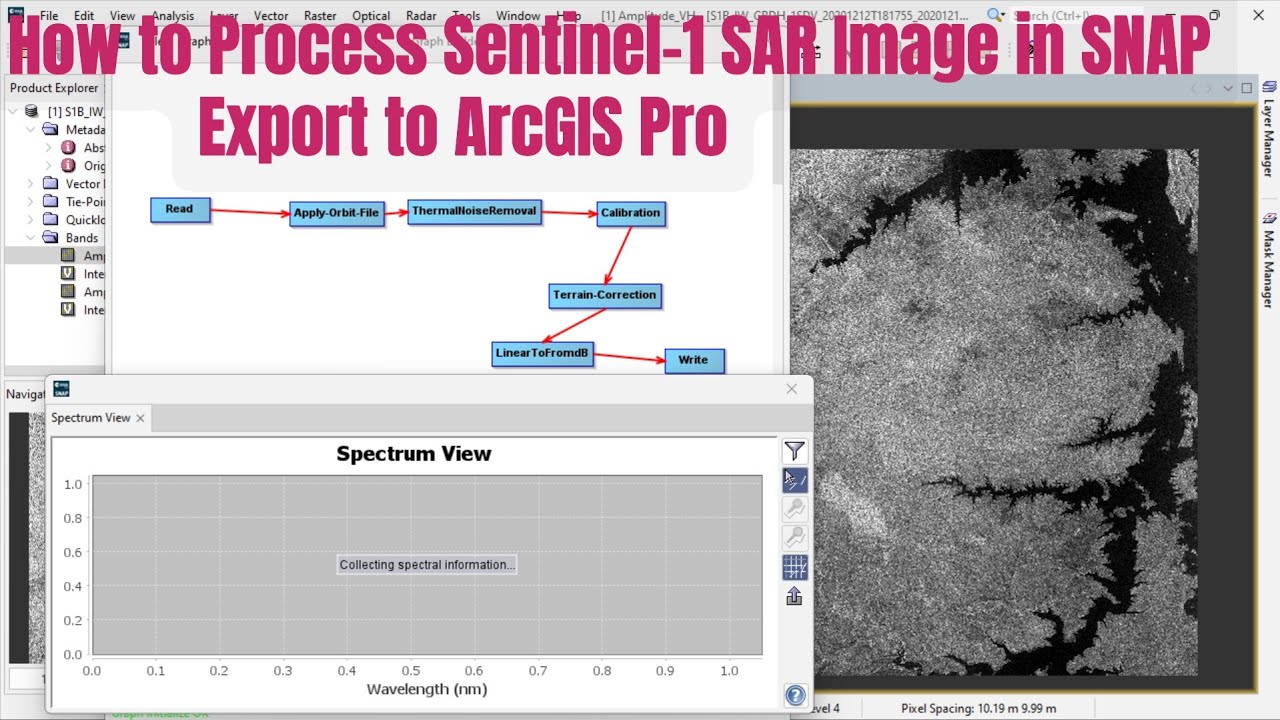 How to Process Sentinel-1 SAR Image in SNAP (Error-Free Workflow) and Export to ArcGIS Pro