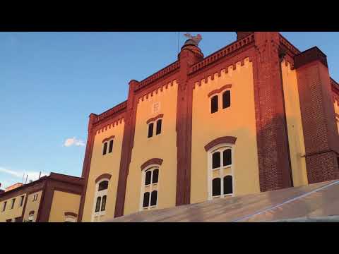 Jakub Smolík s kapelou - Třeboň 20. 7. 2018