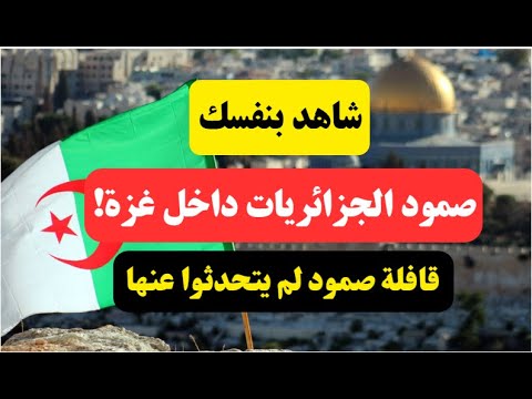 شاهد بنفسك: صمود جزائريات في غزة! رسالة إلى عبد الرزاق مقري.