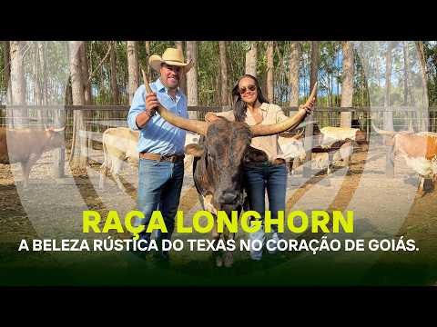 PRODUZ - EP. 89 | O GADO DOS CHIFRES GIGANTES: Conheça o Texas Longhorn na Fazenda Casa Branca.
