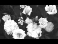 Wumpscut- Crucified