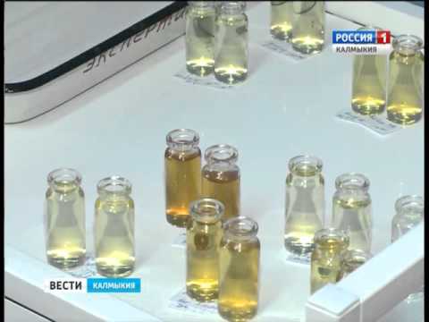 Вести «Калмыкия»: выпуск 25.03.2016 на калмыцком языке