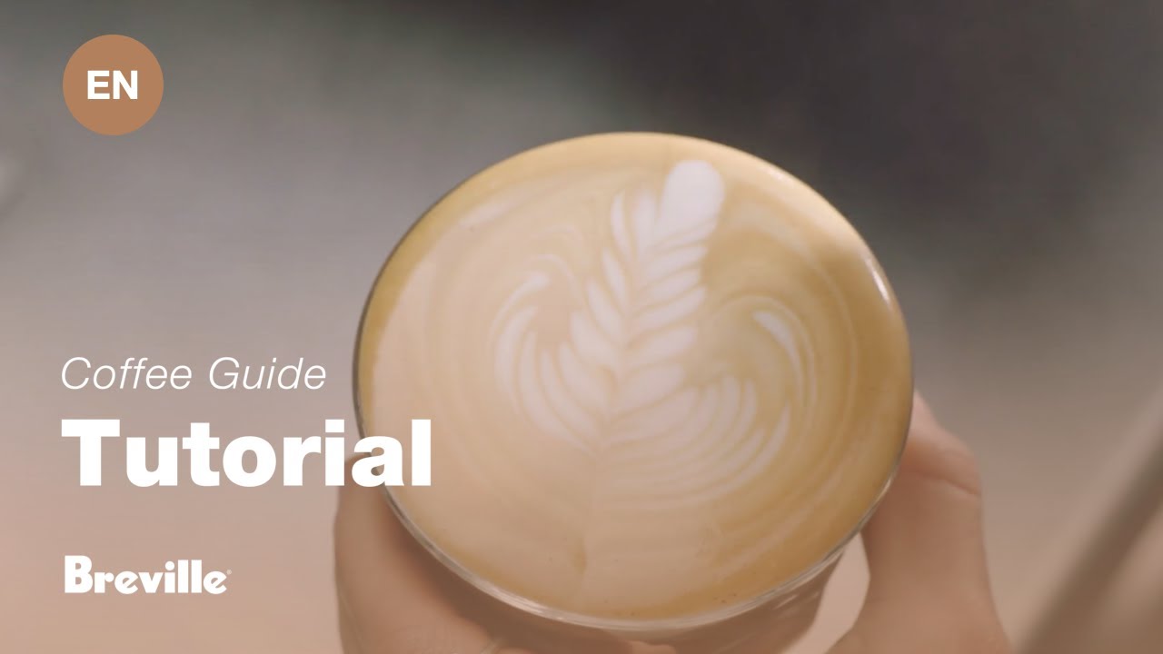 Breville coffee guide tutorial - How to create latte art: the tulip & rosetta