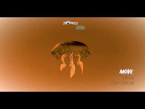 Kubi, Murotani - Move [220v EP]