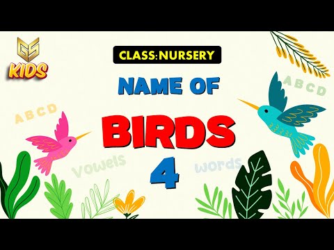 Birds (4) - Nursery - EVS - Gyansrota Kids