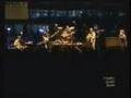 Freddy Jones Band- Colors Of The Light