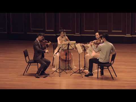 Promotional video thumbnail 3 for Julia Lin, Violin/Viola/Piano