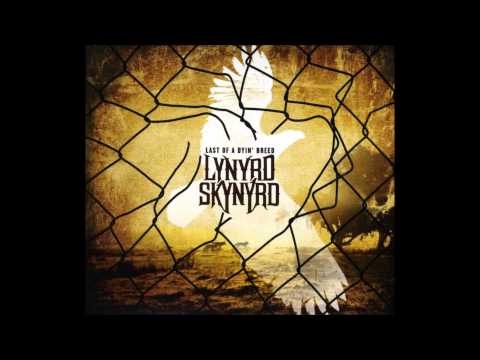 Lynyrd Skynyrd -  Poor Man's Dream