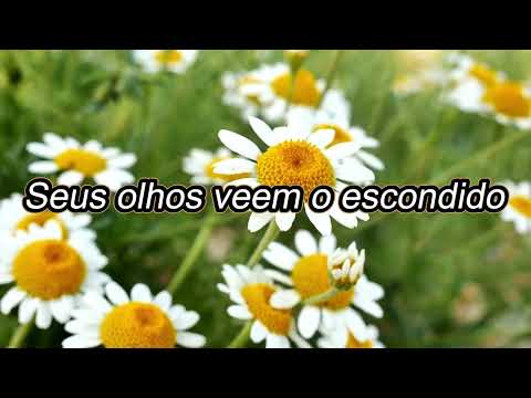 SALMO 11 - ✝️No Senhor Eu Confio [Louvor Inspirado no Salmo 11]