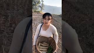 KERJA DULU#short #shortvideo