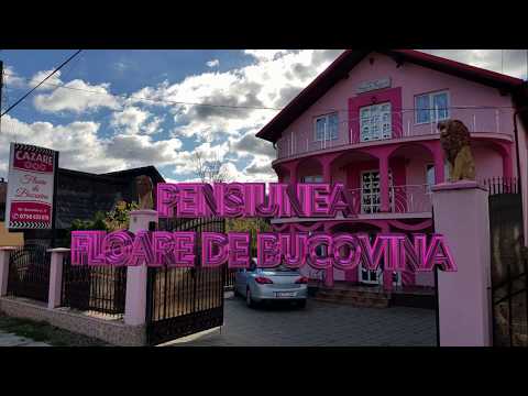 Pensiunea "FLOARE DE BUCOVINA" - Localitatea Frasin, Jud. Suceava