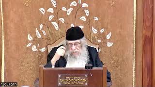 הרה"ג הרב וועכטר שליט"א - י"א ניסן תשפ"ה ליקוטי שיחות חלק ג שיחה שבת הגדול (הרב אברהם מנחם מענדל וכטר) - התמונה מוצגת ישירות מתוך אתר האינטרנט יוטיוב. זכויות היוצרים בתמונה שייכות ליוצרה. קישור קרדיט למקור התוכן נמצא בתוך דף הסרטון