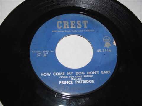 prince partridge   how come my dog don`t bark