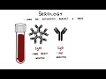 Diagnostic Tests for Viral Infections | Serology, PCR and Viral Culture Explained