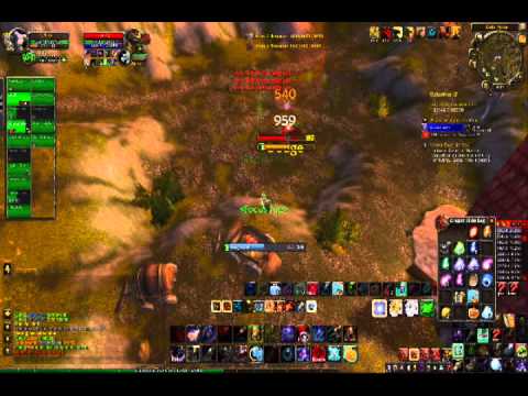 Buçk level 80 BM Hunter US Vashj