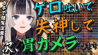 【閲覧注意】らでんちゃんだってゲロ吐くし、失神するし、ビュッフェではラーメンとうどんとそばを同時に取るし、デザートにソフトクリームを巻く、普通の女の子なんだ。【儒烏風亭らでん/ReGLOSS/まとめ】