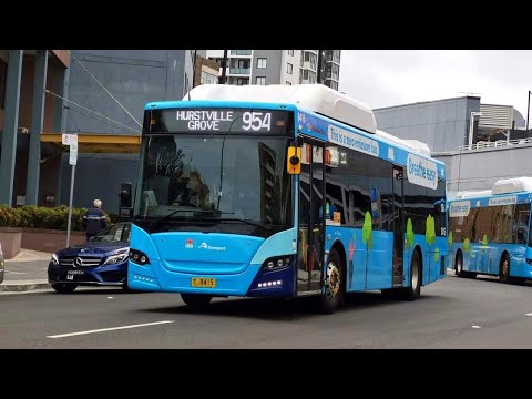Punchbowl Bus Co M/O 8415 - BYD D9RA Gemilang Eco