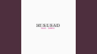 Mislead Music Video