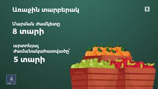 Ինտենսիվ պտղատու այգիների հիմնման ծրագիր