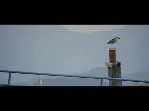 Gregory Chaitin, Against Method. Outtakes: Four of My Heroes