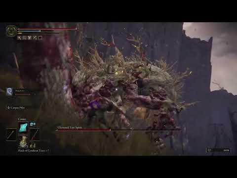 Dung Eater vs Bosses - Ulcerated Tree Spirit - #PS5 #EldenRing