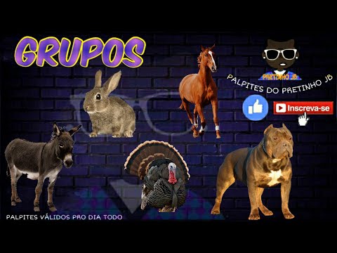 PALPITES JB 11/12/2020 PARA TODAS AS LOTERIAS