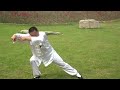 Taiji mistrza Yang Yonga