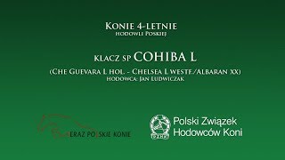 Video of Cohiba L