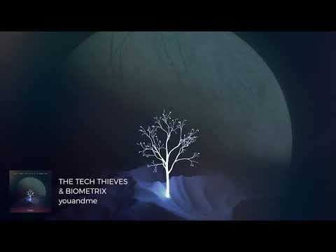 The Tech Thieves & Biometrix - youandme