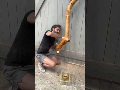 EPIC Kratzbaum Upgrade