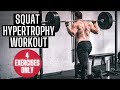 Why I Don't Do a Lot of Leg Accessories for Hypertrophy (Squats are enough) New Program Walkthrough